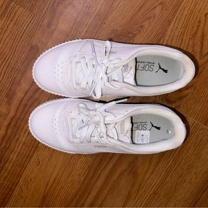 White pumas